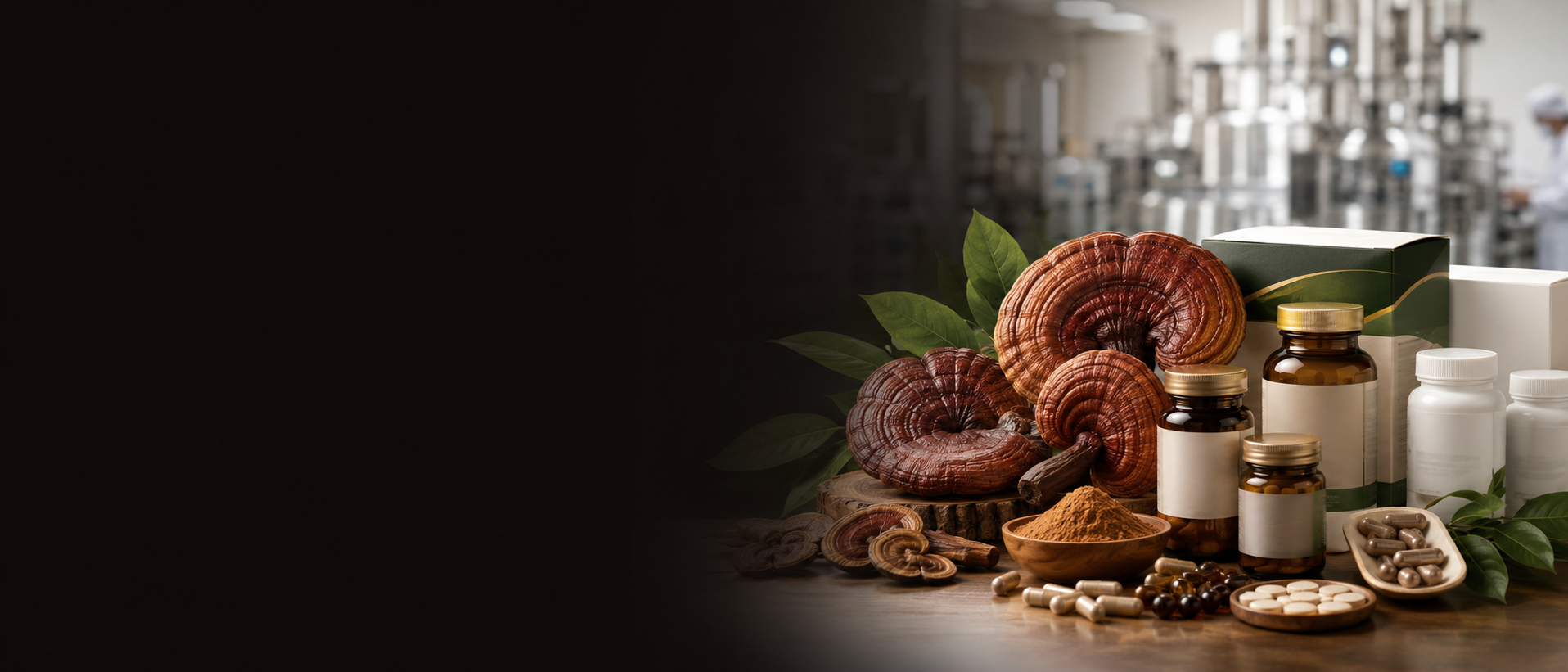 Dynapharm Herbal manufacturing and market support